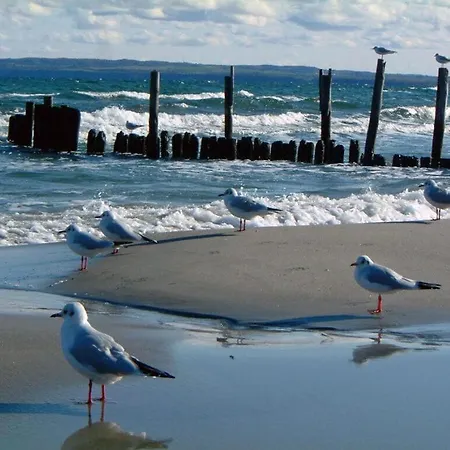 بيت للعطل Dawn Comfortable *